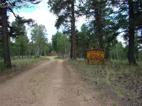 4033 Cedar Mountain Rd, Divide, CO 80814 photo 29