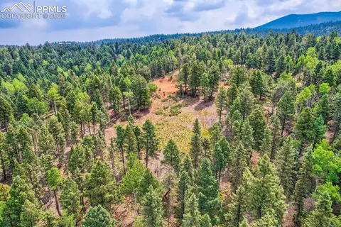 4600 Elk Valley Rd, Divide, CO 80814 photo 12