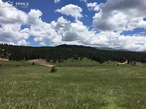 4600 Elk Valley Rd, Divide, CO 80814 photo 3