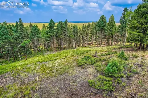 4600 Elk Valley Rd, Divide, CO 80814 photo 6
