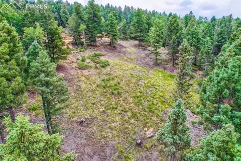 4600 Elk Valley Rd, Divide, CO 80814 photo 9