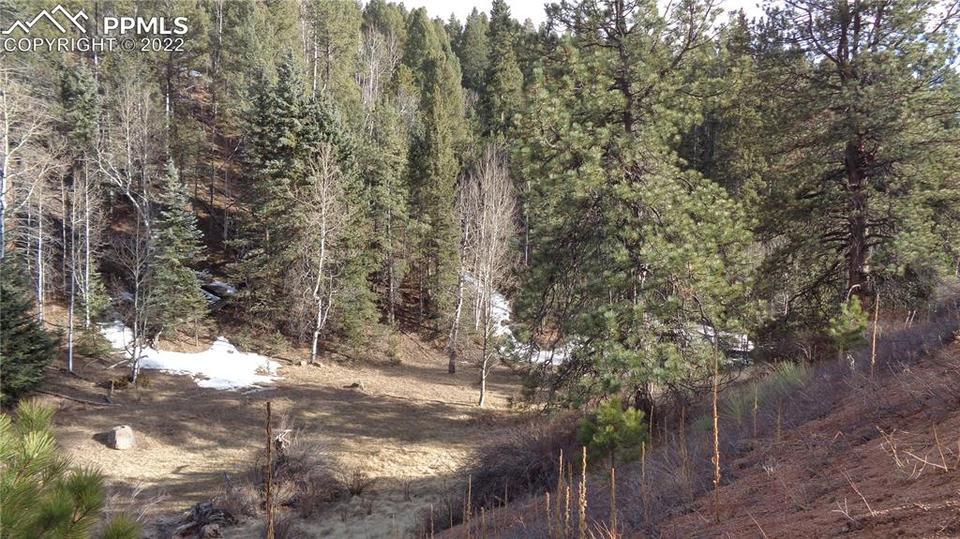 308 Idlewild Dr, Cripple Creek, CO 80813 12 Photos MLS 3623546