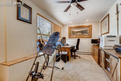 480 E Stirrup Trl, Monument, CO 80132 photo 20