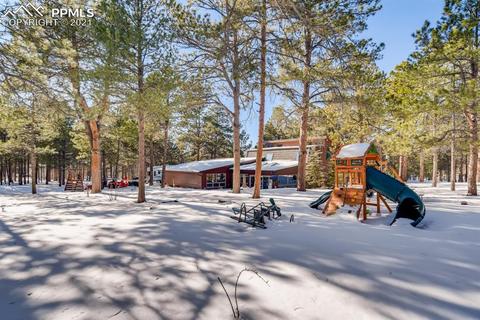 480 E Stirrup Trl, Monument, CO 80132 photo 24