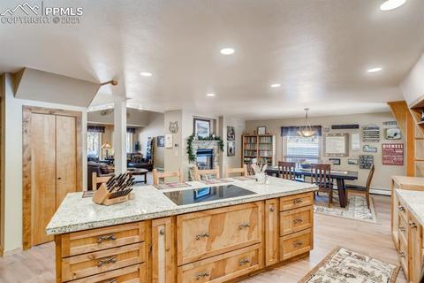 480 E Stirrup Trl, Monument, CO 80132 photo 11