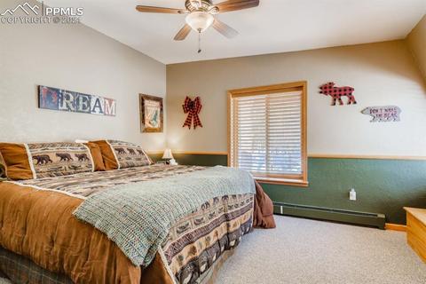 480 E Stirrup Trl, Monument, CO 80132 photo 17