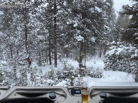 93 Rainbow Ct, Divide, CO 80814 photo 22