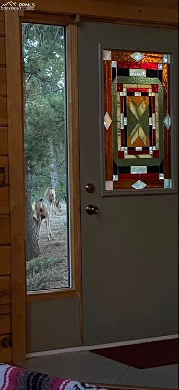 93 Rainbow Ct, Divide, CO 80814 photo 9