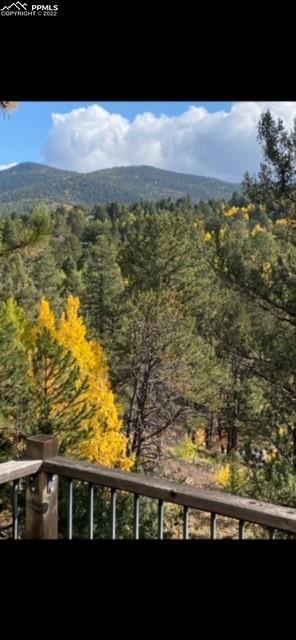 93 Rainbow Ct, Divide, CO 80814 photo 24