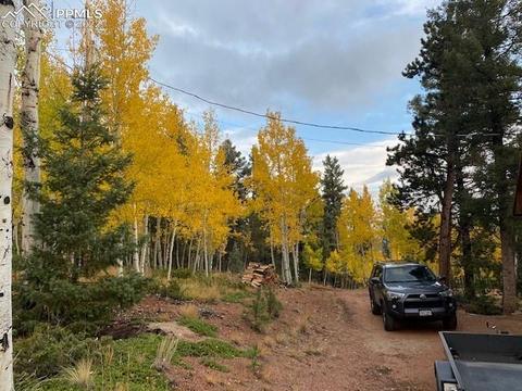 93 Rainbow Ct, Divide, CO 80814 photo 20