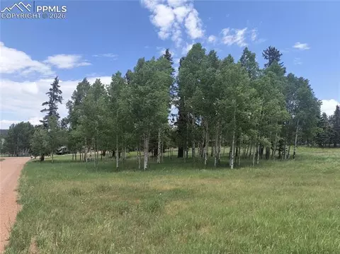 Will Scarlet Drive, Divide, CO 80814 photo 4