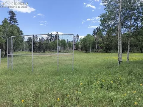 Will Scarlet Drive, Divide, CO 80814 photo 10
