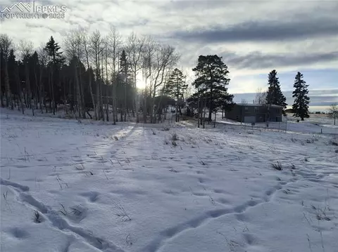 Will Scarlet Drive, Divide, CO 80814 photo 19