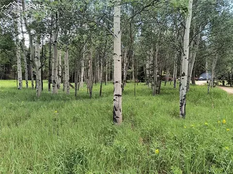 Will Scarlet Drive, Divide, CO 80814 photo 12