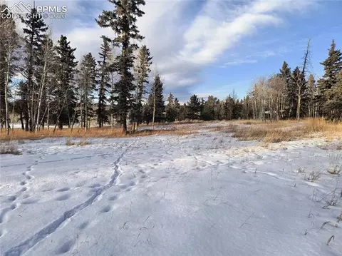 Will Scarlet Drive, Divide, CO 80814 photo 21