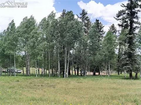 Will Scarlet Drive, Divide, CO 80814 photo 8