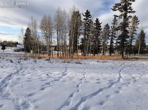 Will Scarlet Drive, Divide, CO 80814 photo 20