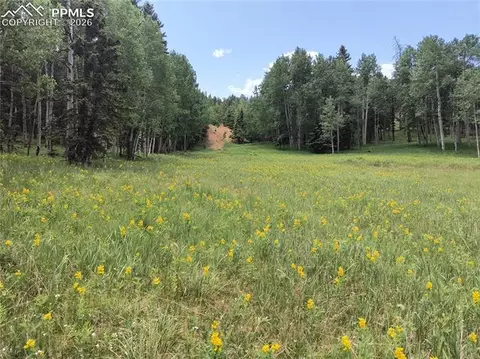 Will Scarlet Drive, Divide, CO 80814 photo 3