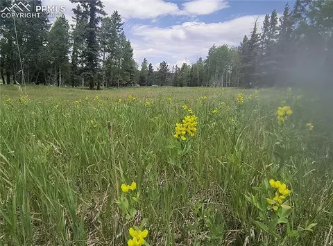 Will Scarlet Drive, Divide, CO 80814 photo 13