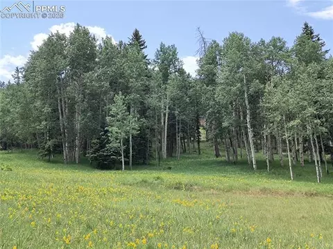Will Scarlet Drive, Divide, CO 80814 photo 2