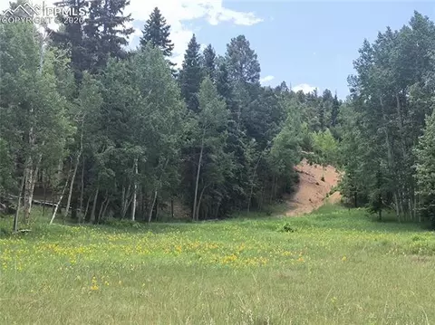 Will Scarlet Drive, Divide, CO 80814 photo 7