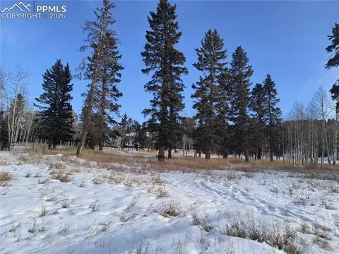 Will Scarlet Drive, Divide, CO 80814 photo 15