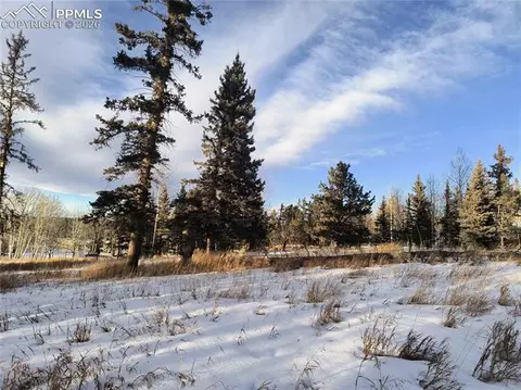 Will Scarlet Drive, Divide, CO 80814 photo 22