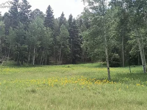 Will Scarlet Drive, Divide, CO 80814 photo 6