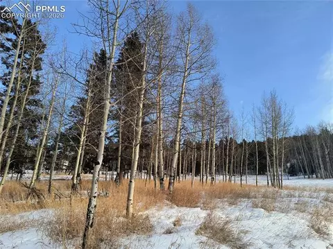 Will Scarlet Drive, Divide, CO 80814 photo 16