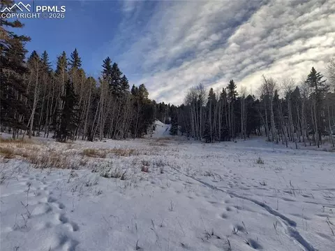 Will Scarlet Drive, Divide, CO 80814 photo 18