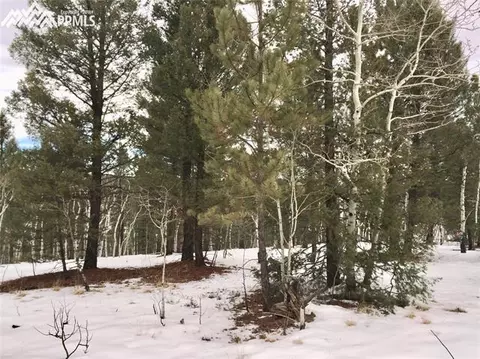 5520 County Road 5 Na Na, Divide, CO 80814 photo 13