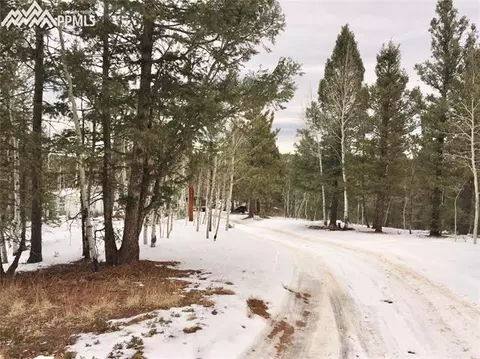 5520 County Road 5 Na Na, Divide, CO 80814 photo 11