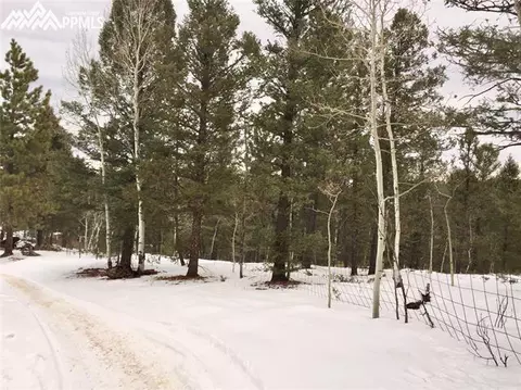 5520 County Road 5 Na Na, Divide, CO 80814 photo 3