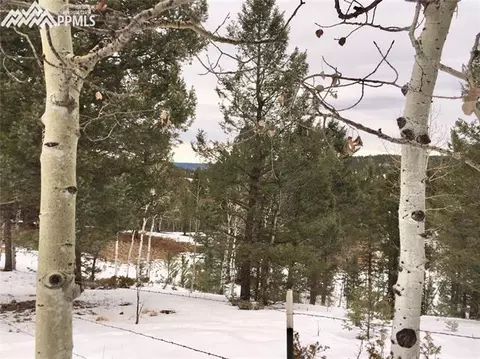 5520 County Road 5 Na Na, Divide, CO 80814 photo 14