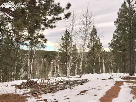 5520 County Road 5 Na Na, Divide, CO 80814 photo 1