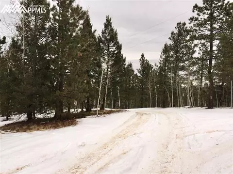 5520 County Road 5 Na Na, Divide, CO 80814 photo 12