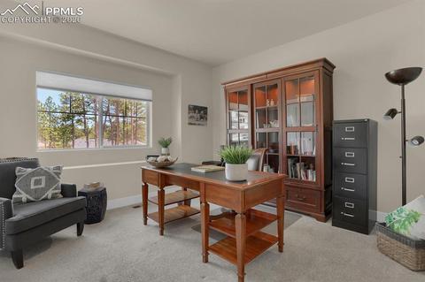 16478 Dancing Bear Ln, Monument, CO 80132 photo 13