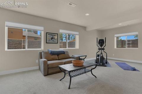 16478 Dancing Bear Ln, Monument, CO 80132 photo 24