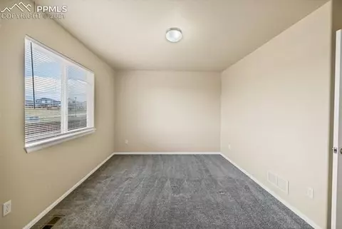 12907 Devils Thumb Pl, Peyton, CO 80831 photo 28