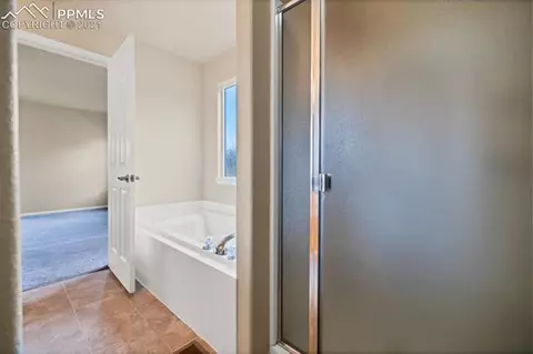 12907 Devils Thumb Pl, Peyton, CO 80831 photo 26
