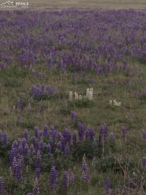8050 Edison Rd, Yoder, CO 80864 photo 39