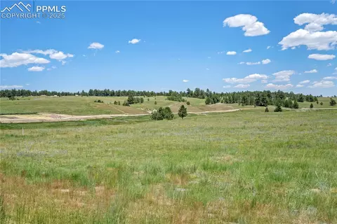 10957 Alamar Way, Colorado Springs, CO 80908