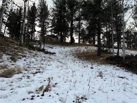 280 Hillside Dr, Florissant, CO 80816