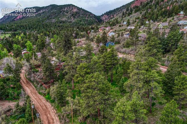 Buena Vista Avenue, Palmer Lake, CO 80133
