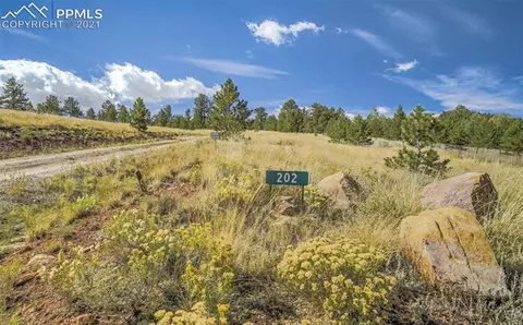202 Hawk Ln, Guffey, CO 80820 photo 38
