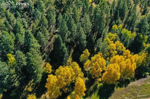 64 100 Indian Head Cir, Florissant, CO 80816