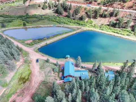 490 Willow Rd, Divide, CO 80814 photo 10
