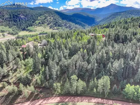 490 Willow Rd, Divide, CO 80814