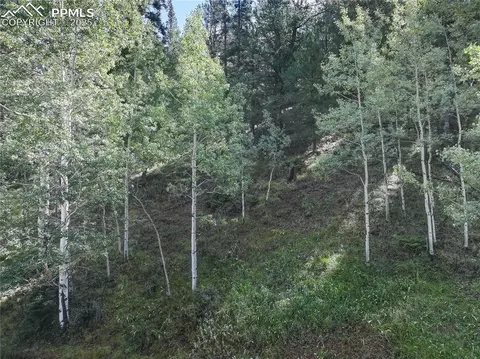 490 Willow Rd, Divide, CO 80814 photo 9