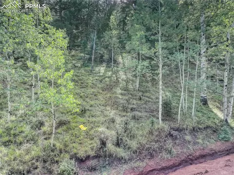 490 Willow Rd, Divide, CO 80814 photo 8